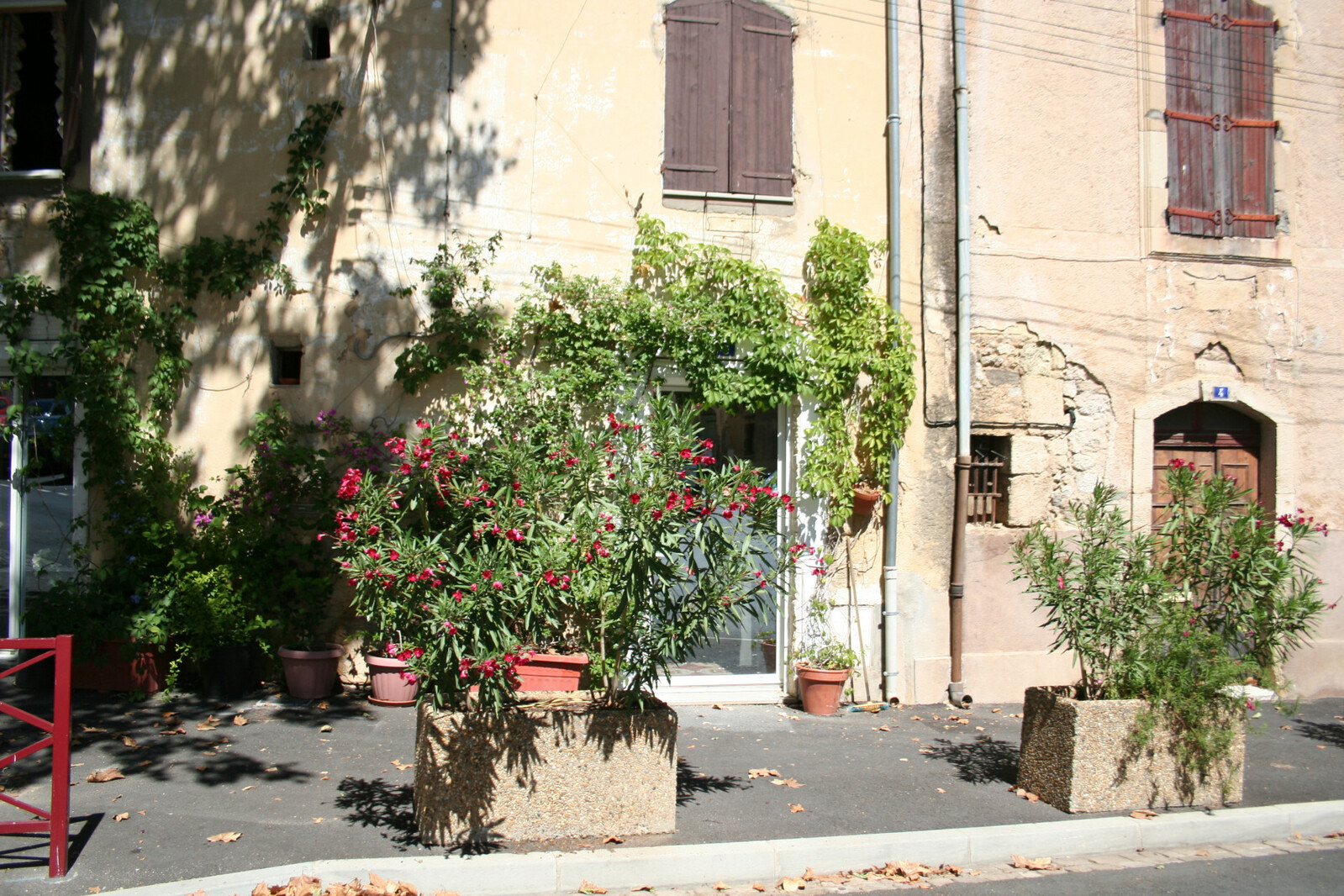 Description de l'image